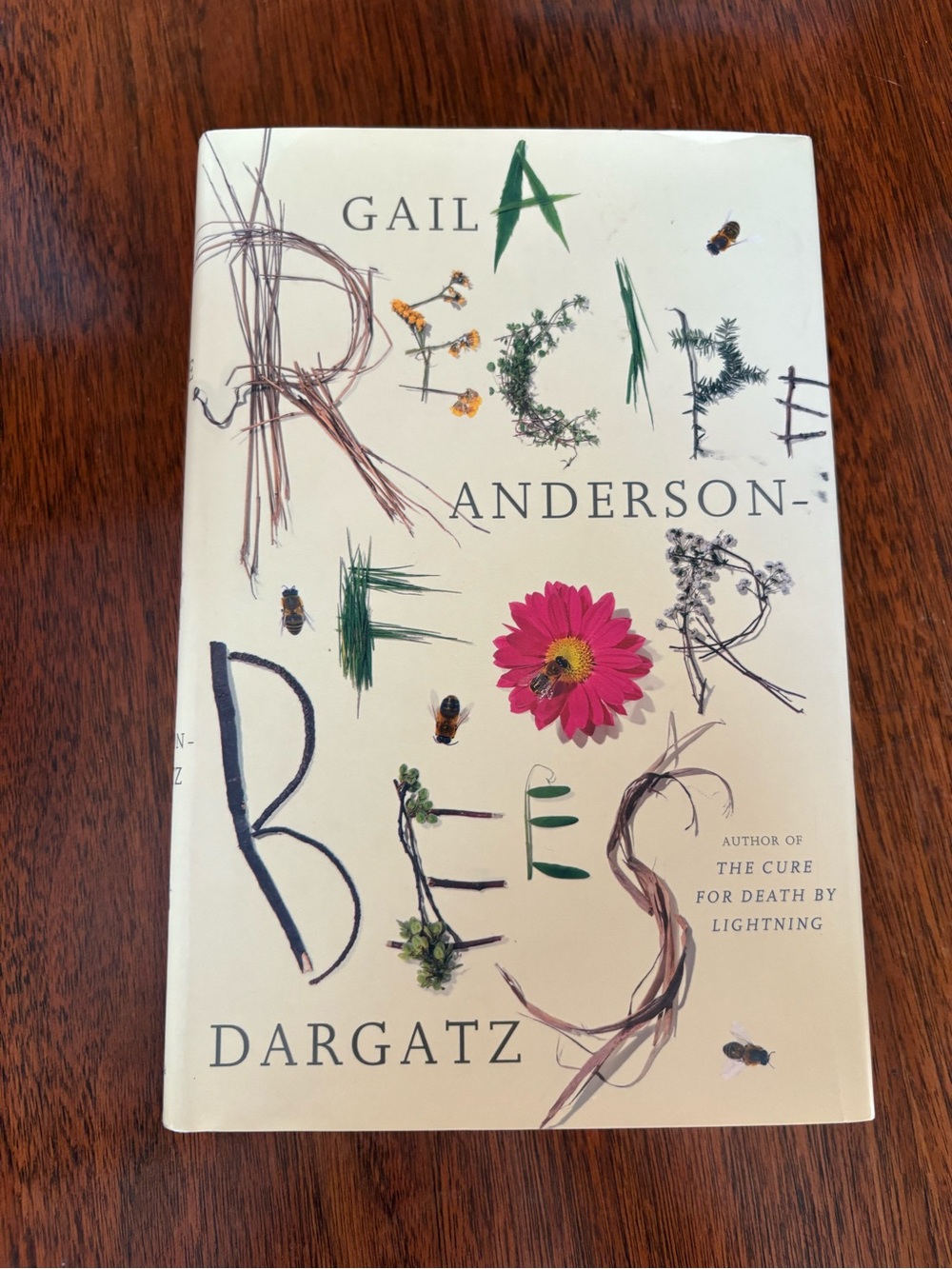 Gail Anderson-Dargatz A Recipe for Bees First Canadian Edition Hardcover 1998